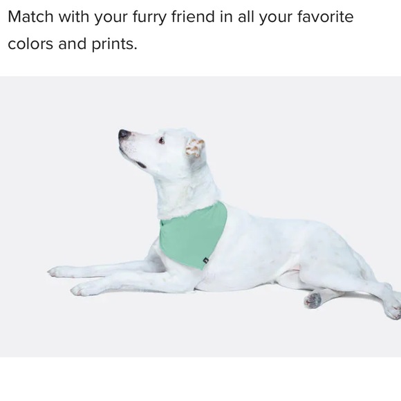 NIP MeUndies Buddy Band - Picture 5 of 5